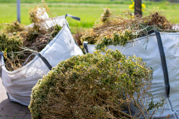 Best Estate Cleanout  in Shelton, WA